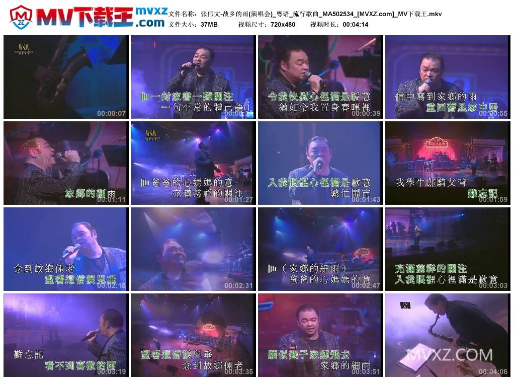 张伟文-故乡的雨(演唱会)_粤语_流行歌曲_MA502534